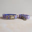 Blue Tulip Personalized Dog Collar with Leas & Bow tie Set - iTalkPet