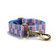 Blue Tulip Personalized Dog Collar with Leas & Bow tie Set - iTalkPet