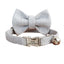 Boy Kitten Collar Adjustable Personalized Cat Collar - iTalkPet