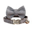 Boy Kitten Collar Adjustable Personalized Cat Collar - iTalkPet