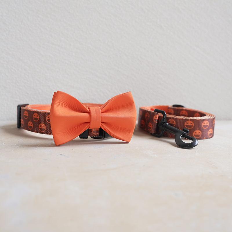 Brown Pumpkin Personalized Dog Collar with Leas & Bow tie Set - iTalkPet