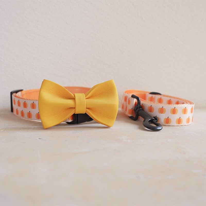 Candy Pumpkin Personalized Dog Collar with Leas & Bow tie Set - iTalkPet