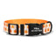 Candy Pumpkin Personalized Dog Collar with Leas & Bow tie Set - iTalkPet