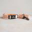 Candy Pumpkin Personalized Dog Collar with Leas & Bow tie Set - iTalkPet