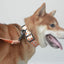 Candy Pumpkin Personalized Dog Collar with Leas & Bow tie Set - iTalkPet