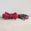 Christmas Personalized Dog Collar with Leas & Bow tie Set - iTalkPet