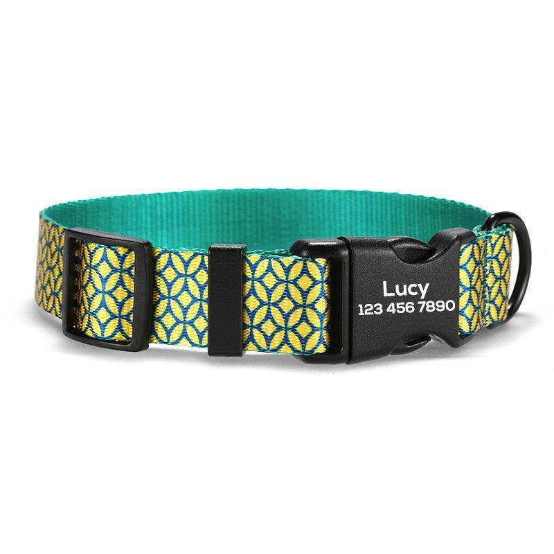 Coins Personalized Dog Collar with Leas & Bow tie Set - iTalkPet