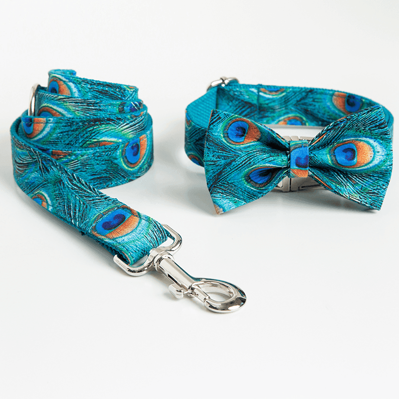 Color Print Personalized Dog Collar with Bow Tie & Leash Set - iTalkPet