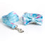 Color Print Personalized Dog Collar with Bow Tie & Leash Set - iTalkPet