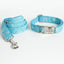 Color Print Personalized Dog Collar with Leash Set - iTalkPet