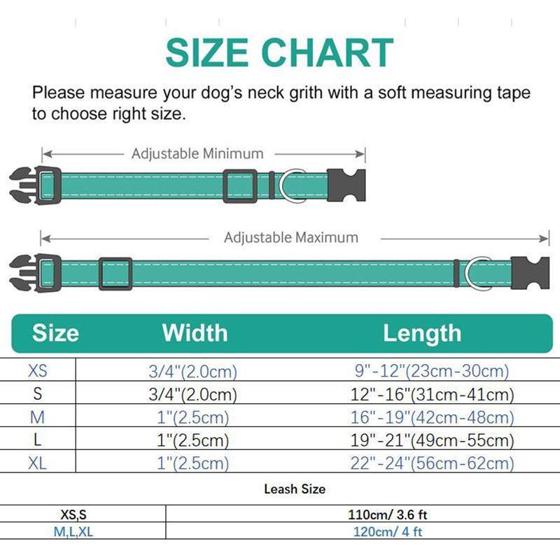 Color Print Personalized Dog Collar with Leash Set - iTalkPet