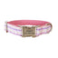 Colorful Print Soft Personalized Dog Collar Set - iTalkPet