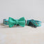 Confetti Personalized Dog Collar with Leas & Bow tie Set - iTalkPet