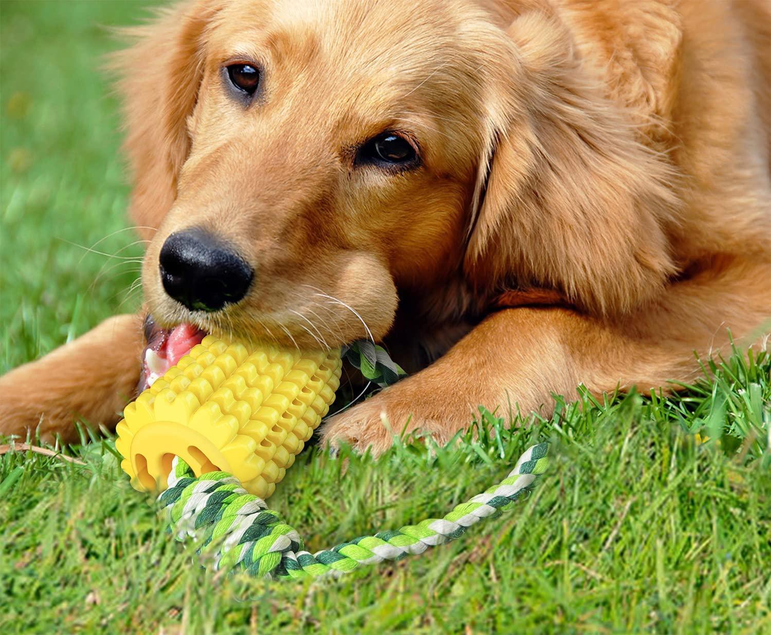 Corn Squeaky Dog Chew Toys for Aggressive Chewers - iTalkPet