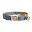 Cowboy Style Adjustable Personalized Cat Collar - iTalkPet