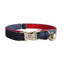 Cowboy Style Adjustable Personalized Cat Collar - iTalkPet