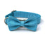 Custom Dog Collar with Bow Tie & Leash Set - iTalkPet