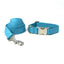 Custom Dog Collar with Bow Tie & Leash Set - iTalkPet