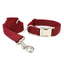 Custom Dog Collar with Bow Tie & Leash Set - iTalkPet