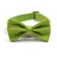 Custom Dog Collar with Bow Tie & Leash Set - iTalkPet