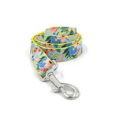 Cute Color Print Pet Leash - iTalkPet