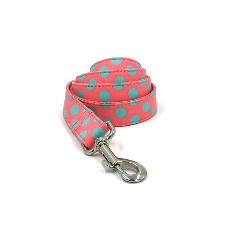 Cute Color Print Pet Leash - iTalkPet