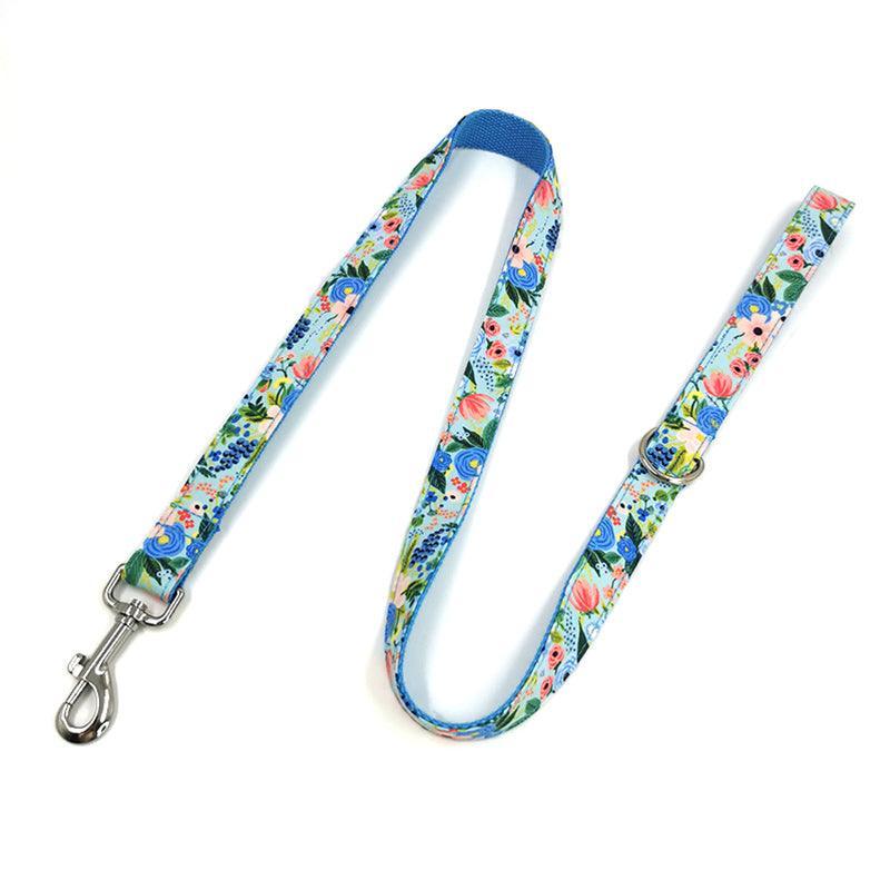 Cute Color Print Pet Leash - iTalkPet
