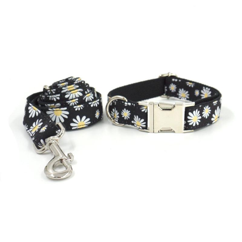 Cute Color Print Pet Leash - iTalkPet