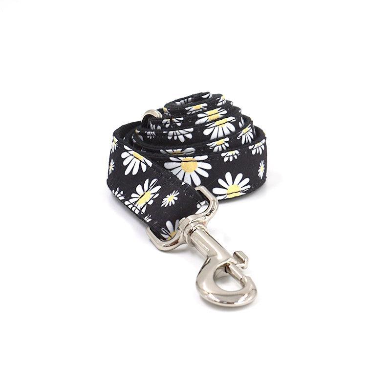 Cute Color Print Pet Leash - iTalkPet