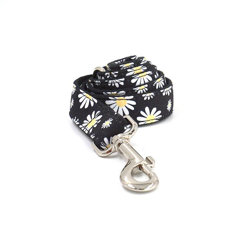 Cute Color Print Pet Leash - iTalkPet