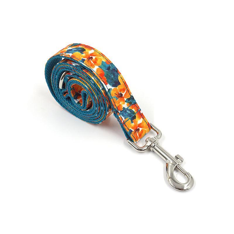 Cute Color Print Pet Leash - iTalkPet