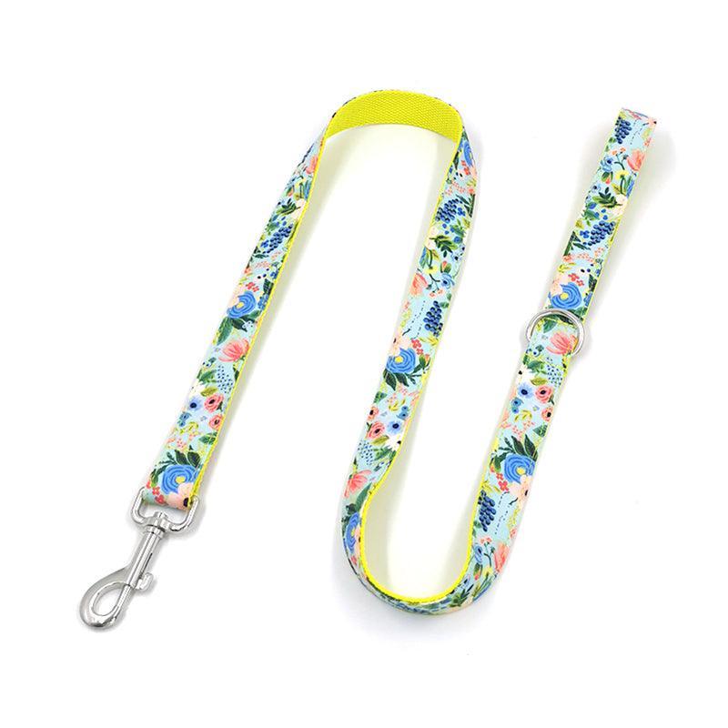 Cute Color Print Pet Leash - iTalkPet