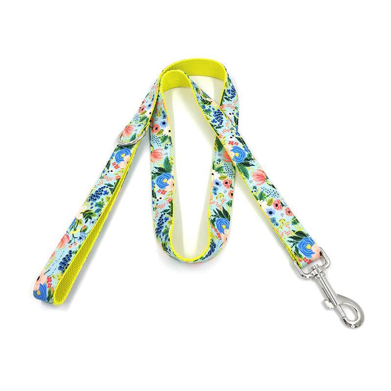 Cute Color Print Pet Leash - iTalkPet