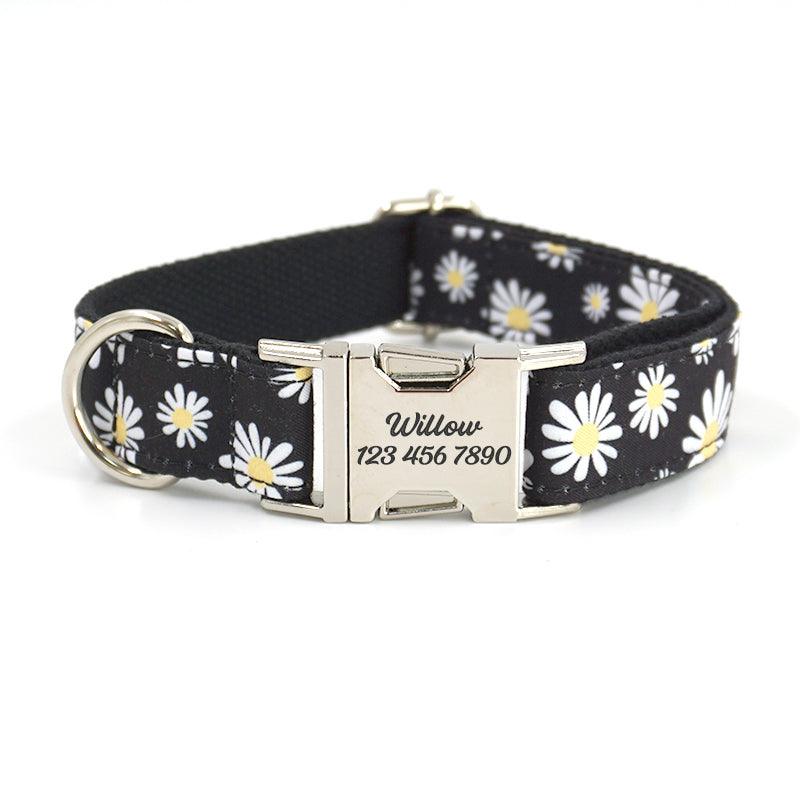 Cute Colorful Personalized Dog Collars with Leash Set - iTalkPet