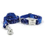 Cute Colorful Personalized Dog Collars with Leash Set - iTalkPet