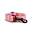 Cute Flower Plaid Personalized Dog Collar -75 Colors - iTalkPet