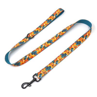 Cute Print Pet Leash - iTalkPet