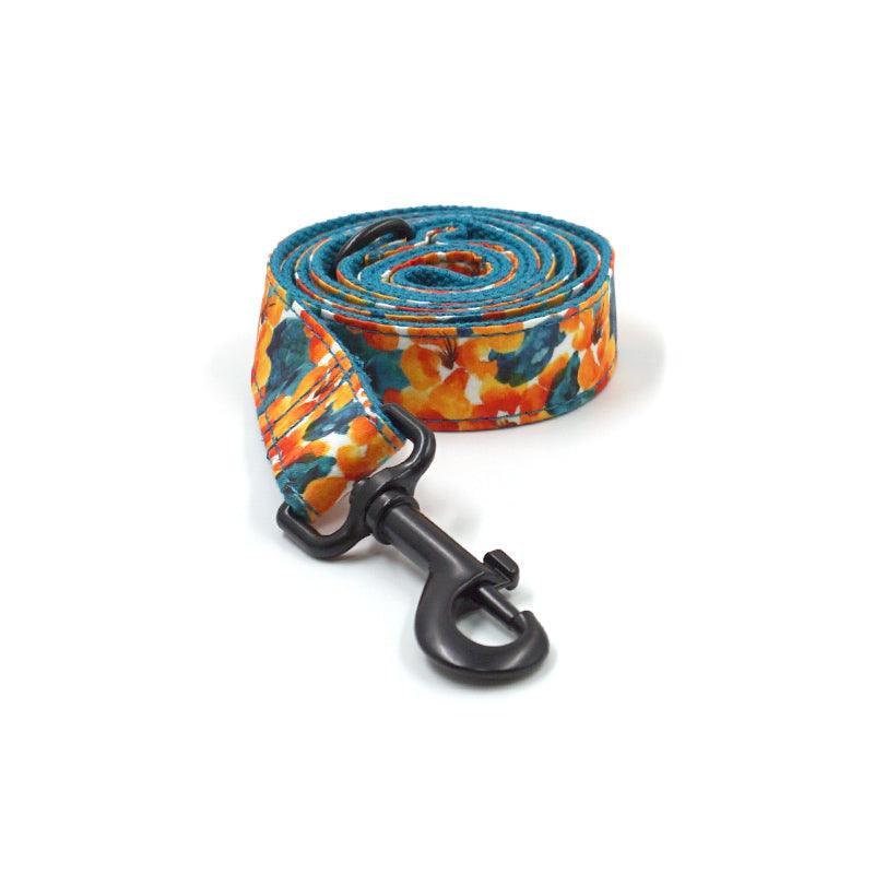 Cute Print Pet Leash - iTalkPet