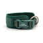 Dark Green Striped Solid Personalized Dog Collar - iTalkPet