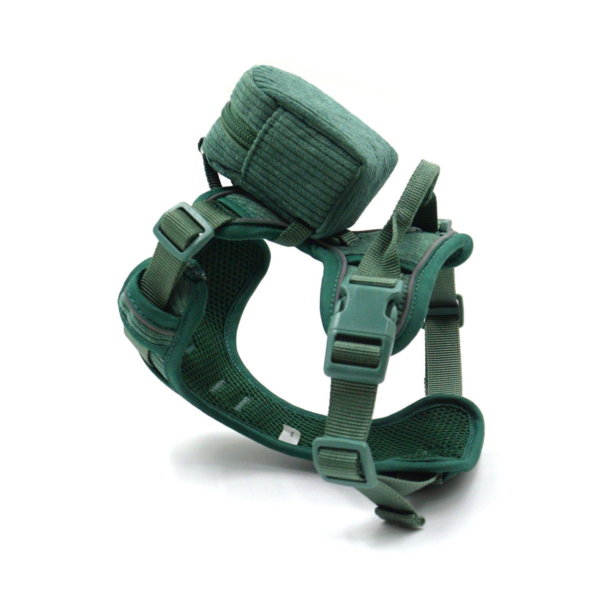 Dark Green Striped Solid Personalized Dog Collar - iTalkPet