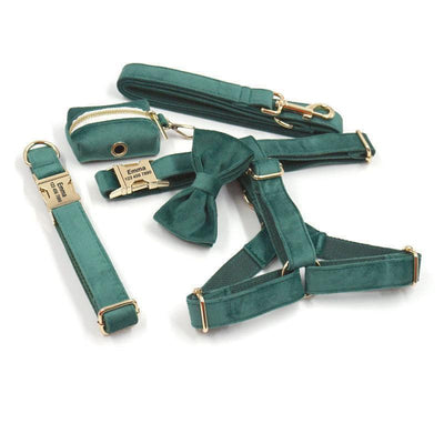 Dark Green Velvet Personalized Dog Collar Leash Harness Bowtie Poop Bag Set - iTalkPet