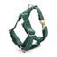 Dark Green Velvet Personalized Dog Collar Leash Harness Bowtie Poop Bag Set - iTalkPet