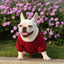 Dog Sweater Soft Thickening Warm Pup Dogs Shirt Winter Puppy Sweater - iTalkPet