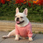 Dog Sweater Soft Thickening Warm Pup Dogs Shirt Winter Puppy Sweater - iTalkPet