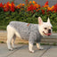 Dog Sweater Soft Thickening Warm Pup Dogs Shirt Winter Puppy Sweater - iTalkPet