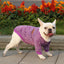 Dog Sweater Soft Thickening Warm Pup Dogs Shirt Winter Puppy Sweater - iTalkPet