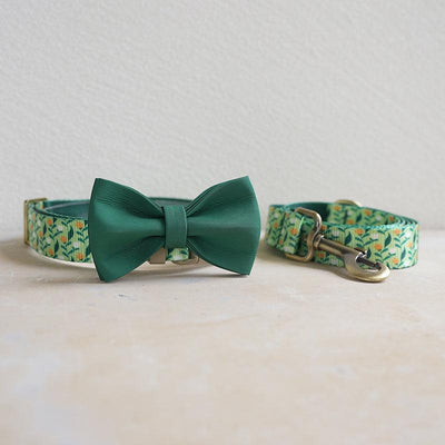 Flower Field Personalized Dog Collar with Leas & Bow tie Set - iTalkPet