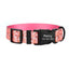 Flower Print Beautiful Personalized Dog Collar Set - iTalkPet