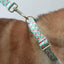 Frangipani Personalized Dog Collar with Leas & Bow tie Set - iTalkPet