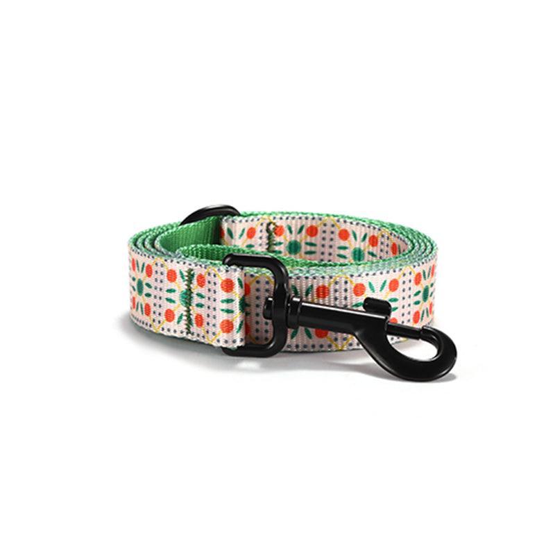 Fruit Biscuits Personalized Dog Collar with Leas & Bow tie Set - iTalkPet